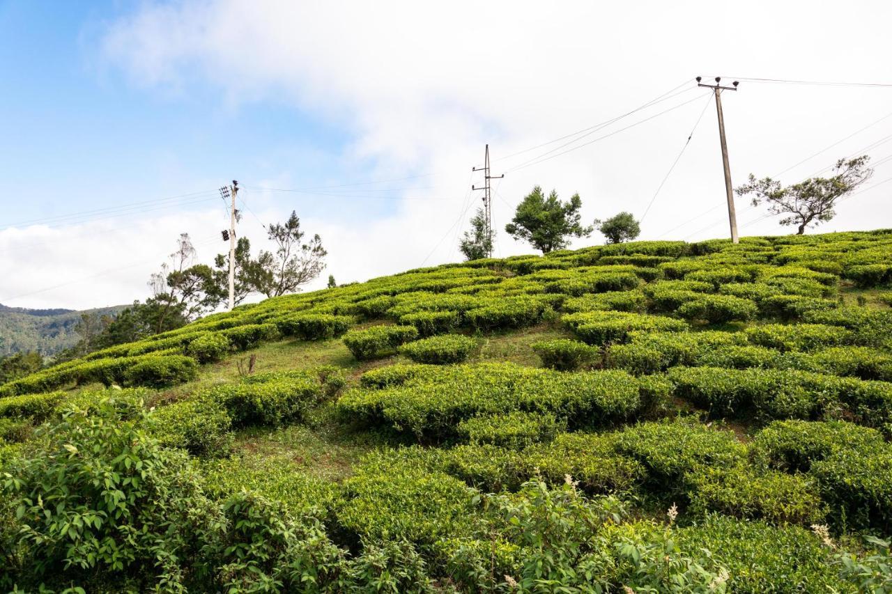 Lakeville Nuwara Eliya